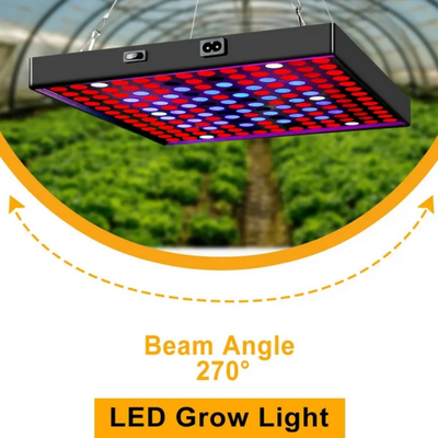 গ্রিনহাউসের জন্য LED ফুল স্পেকট্রাম প্ল্যান্ট গ্রো লাইট 50W 80W লাল নীল আলো