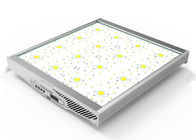 হাই পাওয়ার গ্রিনহাউস গ্রো লাইট 800W, ইন্ডোর গার্ডেনিং COB ল্যাম্পের জন্য LED গ্রো লাইট