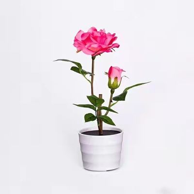 Ip65 Cri70 3 বছরের ওয়ারেন্টি 110lum 3pcs Led Solar Flower Lights